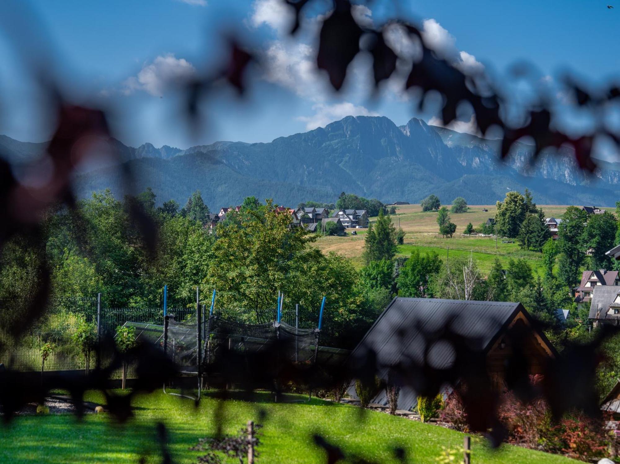 Zacisze Galicove Villa Zakopane Exterior photo